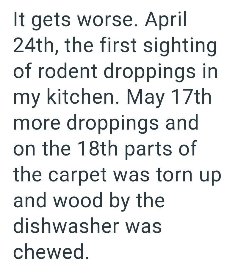 It gets worse. April 24th, the first sighting of rodent droppings in my kitchen. May 17th more droppings and on the 18th parts of the carpet was torn up and wood by the dishwasher was chewed.