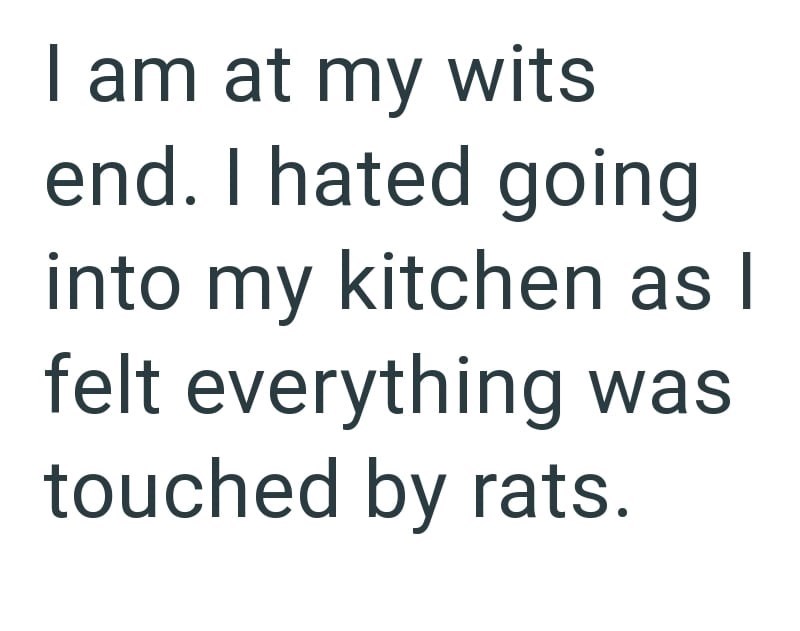 I am at my wits end. I hated going. into my kitchen as I felt everything was touched by rats.