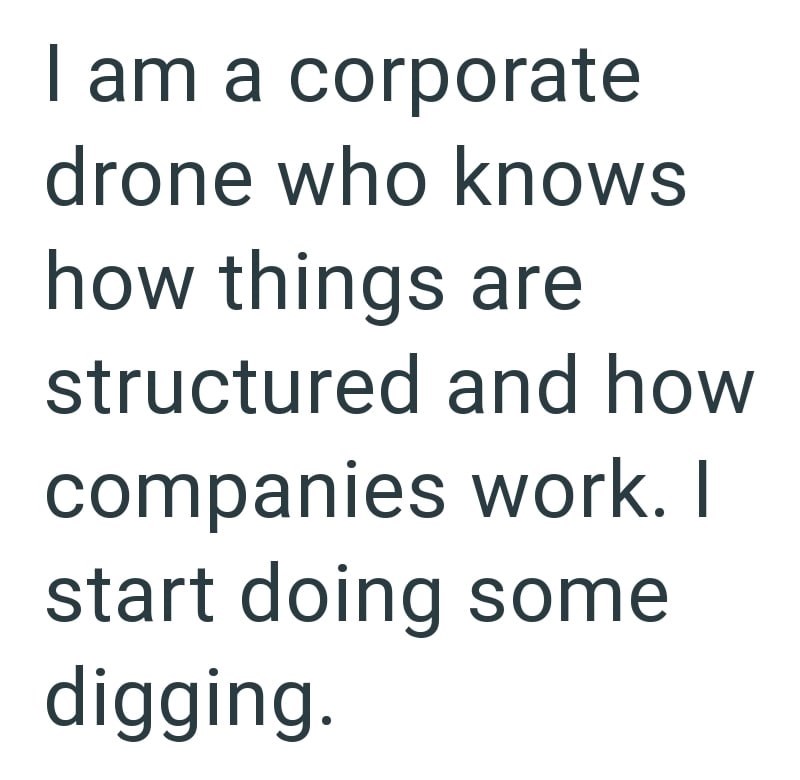 I am a corporate drone who knows how things are structured and how companies work. I start doing some digging.