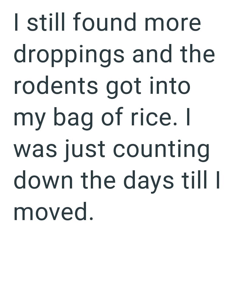 I still found more droppings and the rodents got into my bag of rice. I was just counting down the days till I moved.