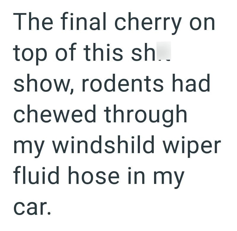 The final cherry on top of this sh.. show, rodents had chewed through my windshild wiper fluid hose in my car.