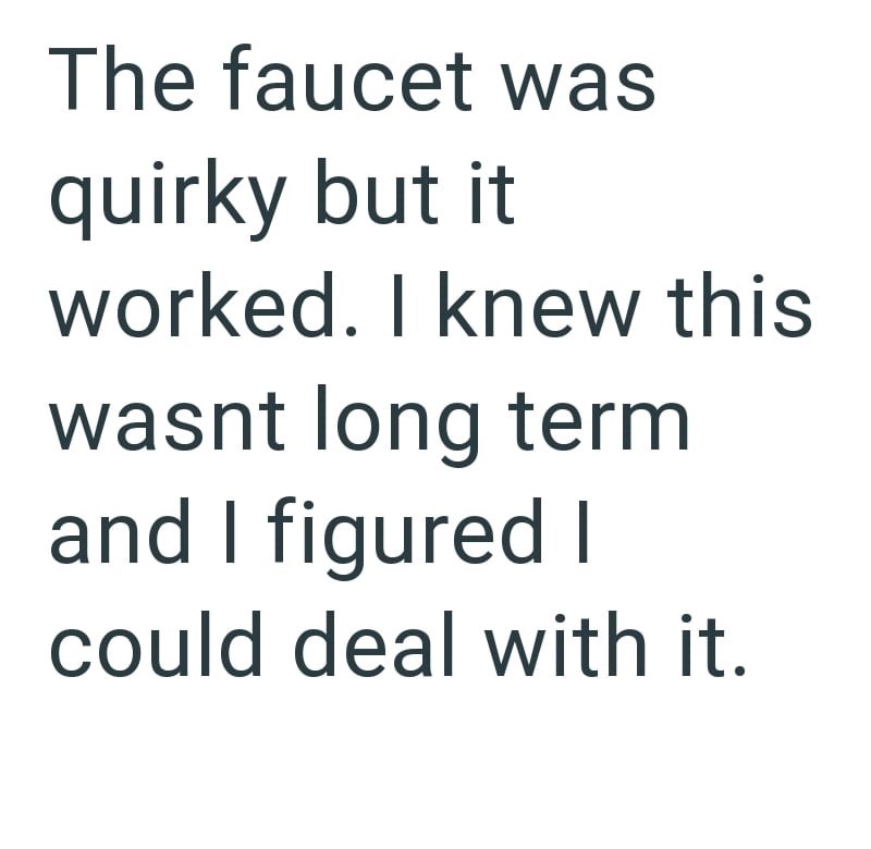 The faucet was quirky but it worked. I knew this wasnt long term and I figured I could deal with it.