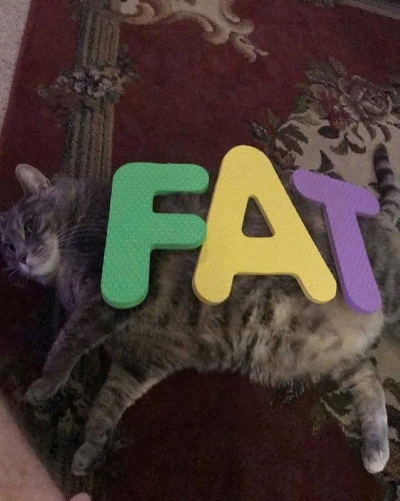 FA