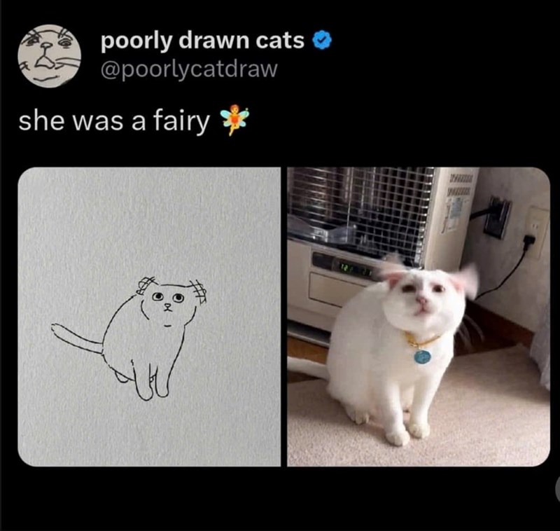 poorly drawn cats @poorlycatdraw she was a fairy ww