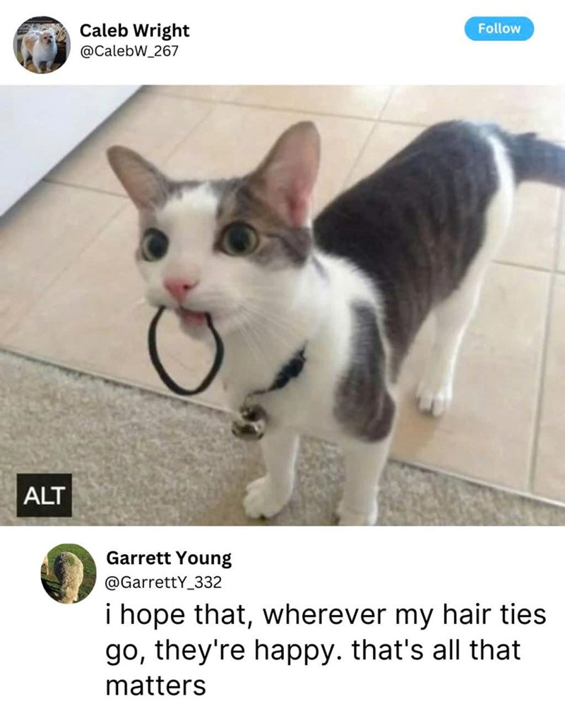 ALT Caleb Wright @CalebW_267 Follow Garrett Young @GarrettY_332 i hope that, wherever my hair ties. go, they're happy. that's all that matters