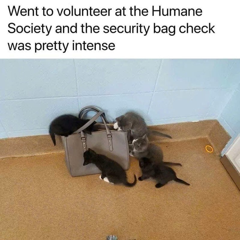 Went to volunteer at the Humane Society and the security bag check was pretty intense