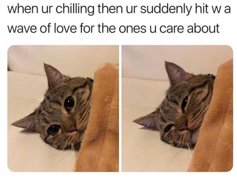 when ur chilling then ur suddenly hit wa wave of love for the ones u care about