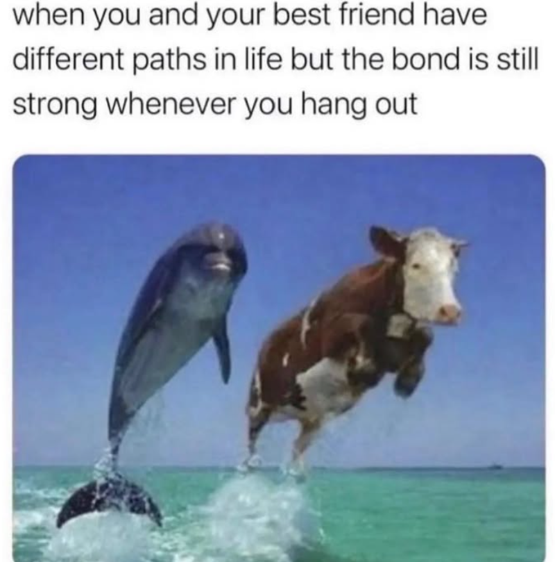 when you and your best friend have different paths in life but the bond is still strong whenever you hang out