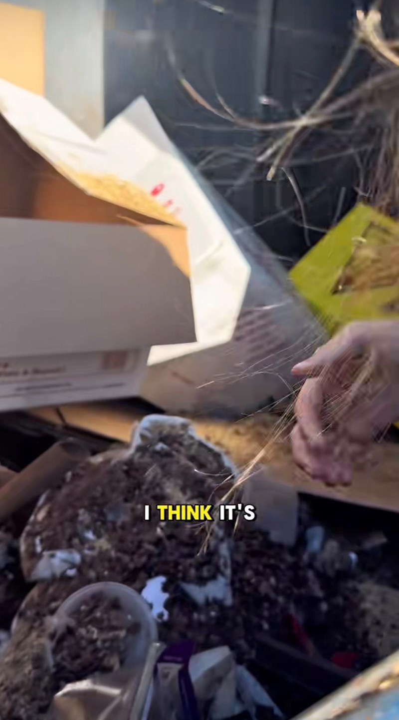 I THINK IT'S