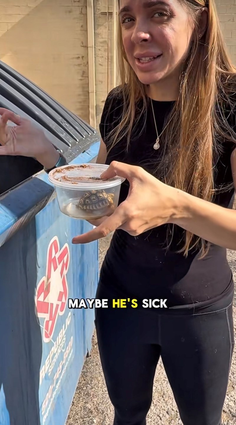 MAYBE HE'S SICK