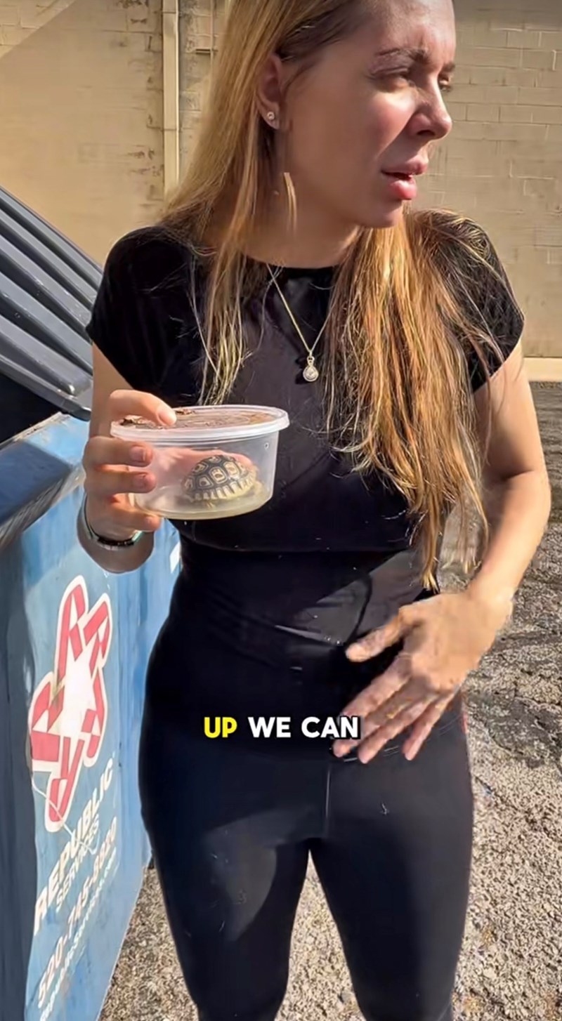 UP WE CAN