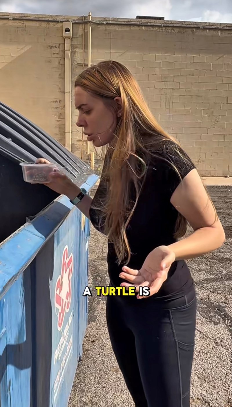 A TURTLE IS