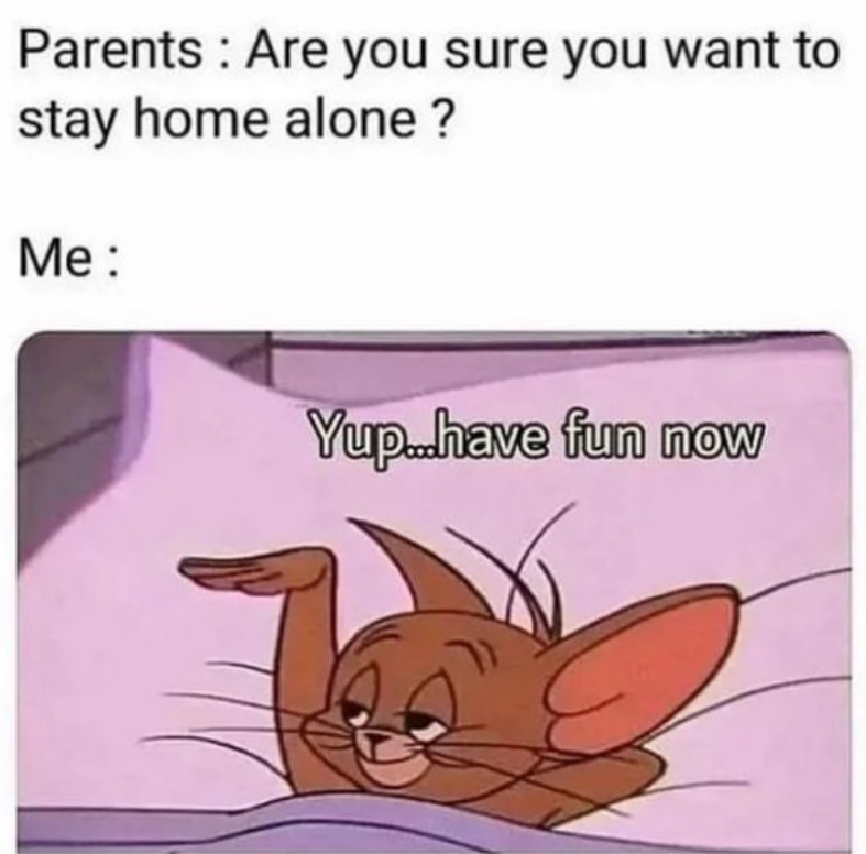 Parents Are you sure you want to stay home alone? Me: Yup...have fun now