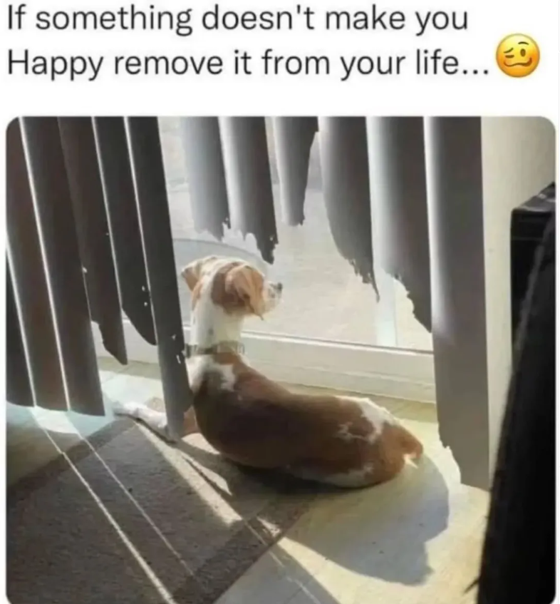 If something doesn't make you Happy remove it from your life...