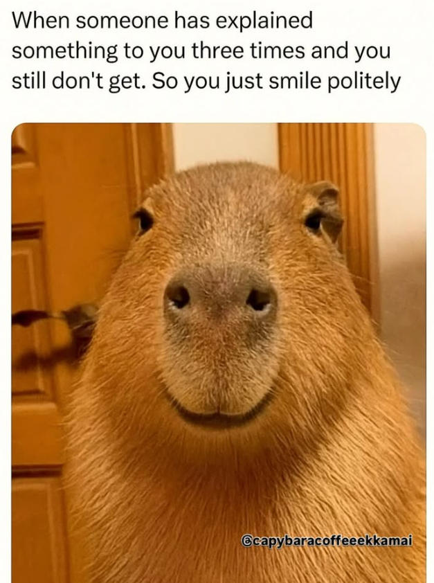 When someone has explained something to you three times and you still don't get. So you just smile politely Scapybaracoffeeekkamai