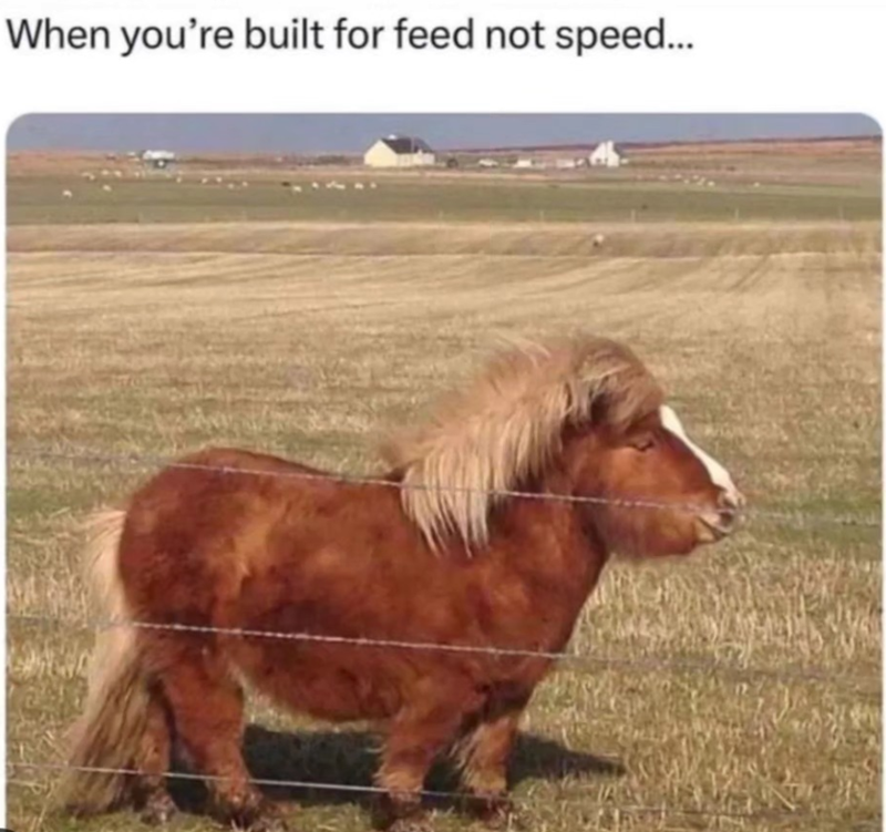 When you're built for feed not speed...