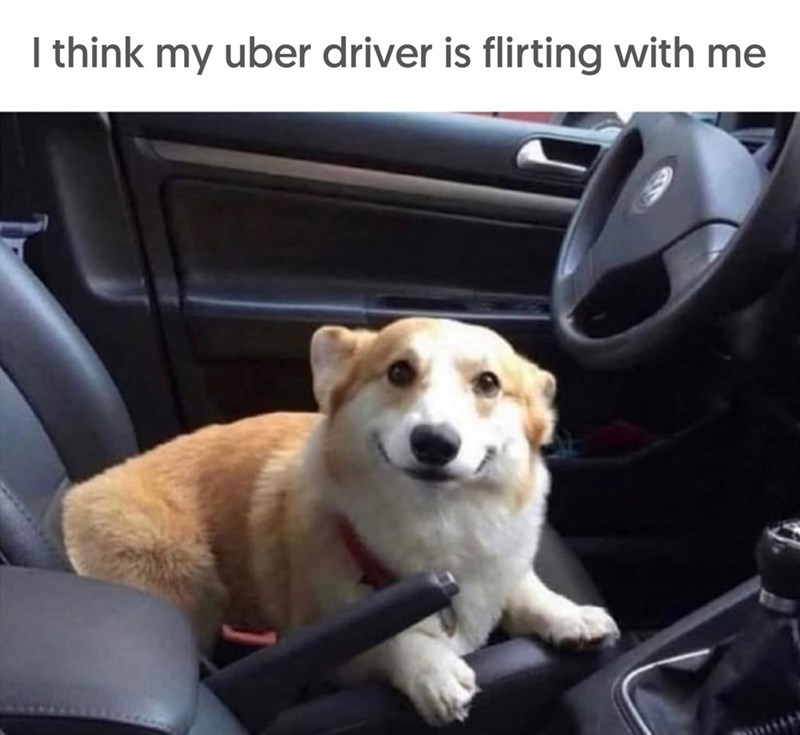 I think my uber driver is flirting with me