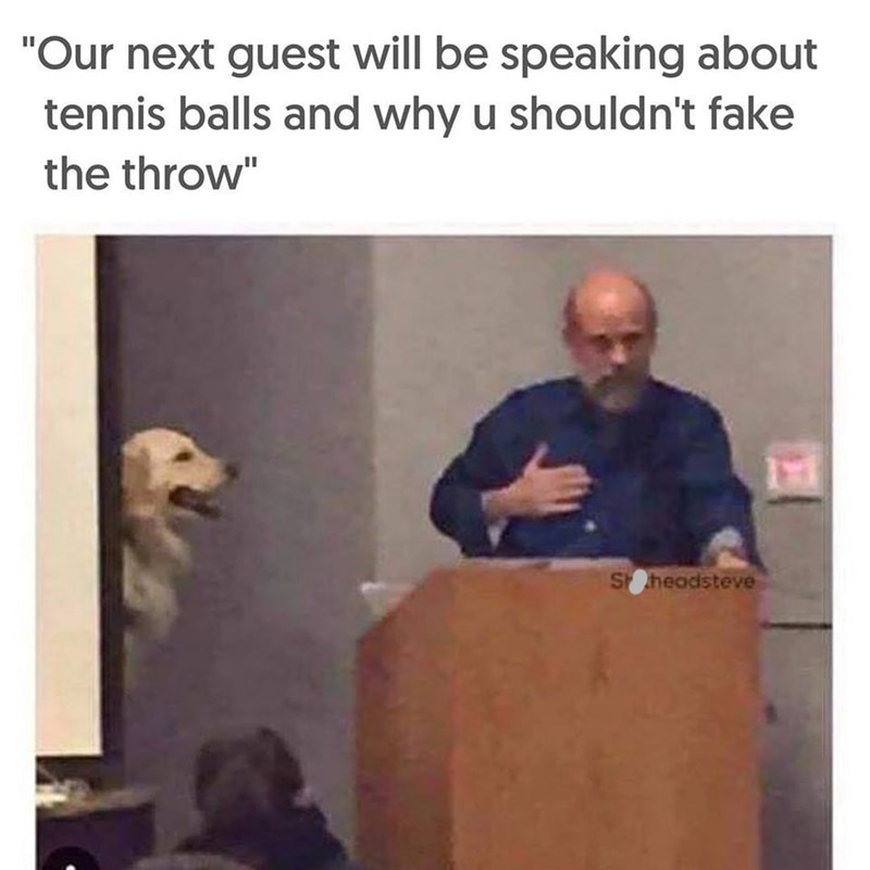 "Our next guest will be speaking about tennis balls and why u shouldn't fake the throw" S headsteve