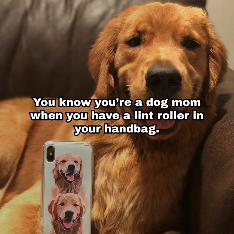 You know you're a dog mom when you have a lint roller in your handbag.