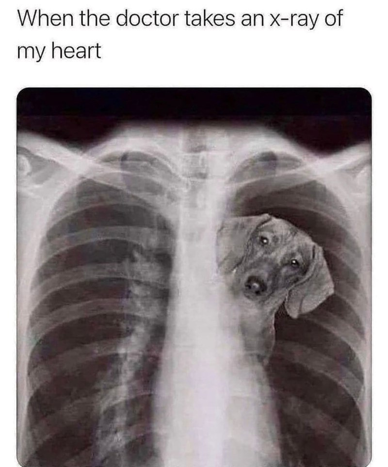 When the doctor takes an x-ray of my heart