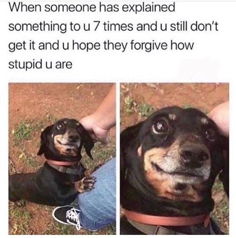 When someone has explained something to u 7 times and u still don't get it and u hope they forgive how stupid u are
