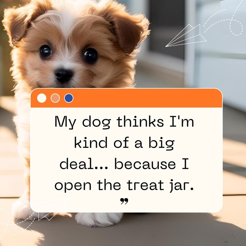 My dog thinks I'm kind of a big deal... because I open the treat jar. 99