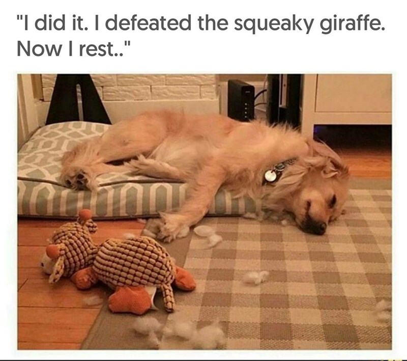 "I did it. I defeated the squeaky giraffe. Now I rest.." ՈՒՂՂՈՐ