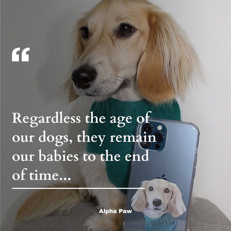 Regardless the age of our dogs, they remain our babies to the end of time... Alpha Paw