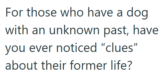 For those who have a dog with an unknown past, have you ever noticed "clues" about their former life?