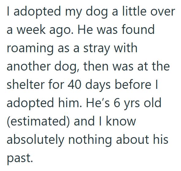 I adopted my dog a little over. a week ago. He was found roaming as a stray with another dog, then was at the shelter for 40 days before I adopted him. He's 6 yrs old. (estimated) and I know. absolutely nothing about his past.