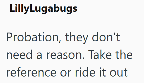 LillyLugabugs Probation, they don't need a reason. Take the reference or ride it out
