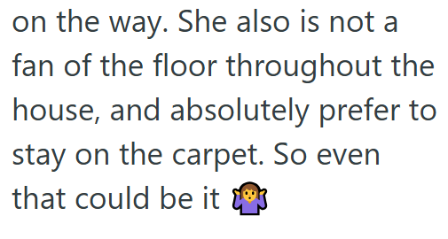 on the way. She also is not a fan of the floor throughout the house, and absolutely prefer to stay on the carpet. So even that could be it