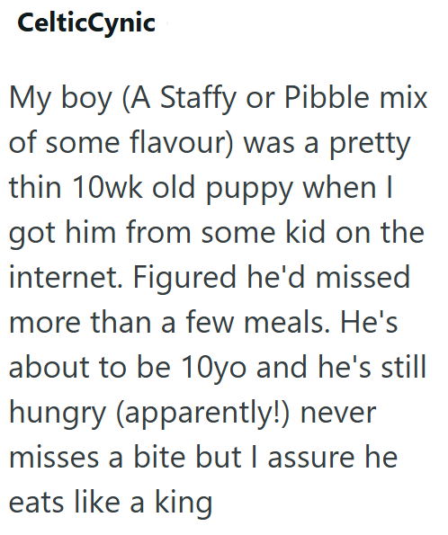 CelticCynic My boy (A Staffy or Pibble mix of some flavour) was a pretty thin 10wk old puppy when I got him from some kid on the internet. Figured he'd missed more than a few meals. He's about to be 10yo and he's still hungry (apparently!) never misses a bite but I assure he eats like a king