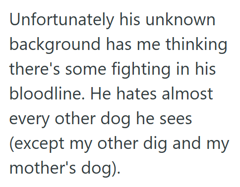 Unfortunately his unknown background has me thinking there's some fighting in his bloodline. He hates almost every other dog he sees (except my other dig and my mother's dog).