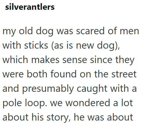 silverantlers my old dog was scared of men with sticks (as is new dog), which makes sense since they were both found on the street and presumably caught with a pole loop. we wondered a lot about his story, he was about