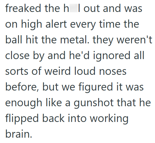 freaked the h I out and was on high alert every time the ball hit the metal. they weren't close by and he'd ignored all sorts of weird loud noses before, but we figured it was enough like a gunshot that he flipped back into working brain.