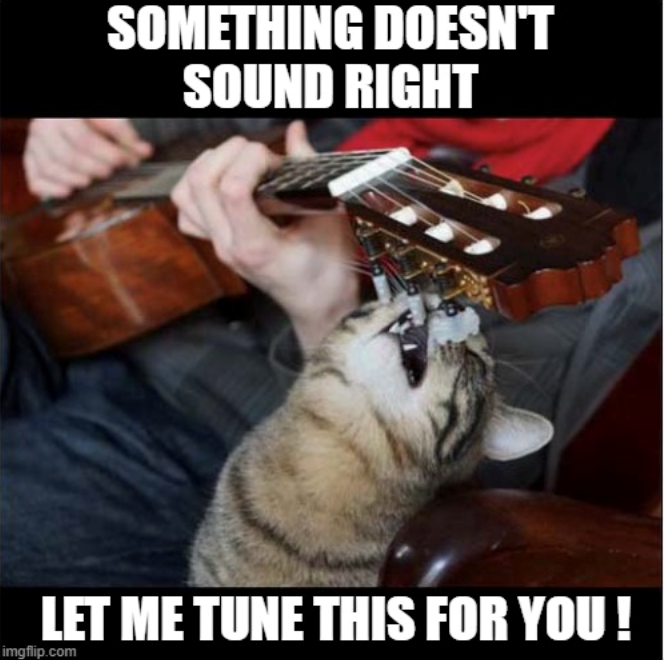 SOMETHING DOESN'T SOUND RIGHT LET ME TUNE THIS FOR YOU! imgflip.com