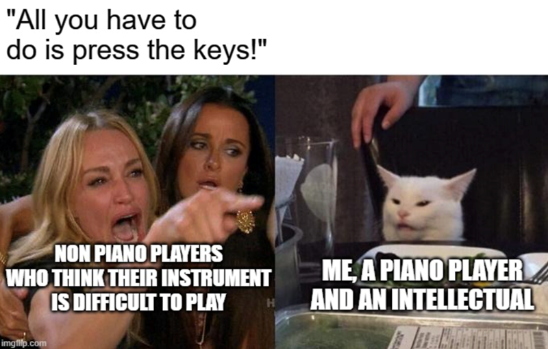 "All you have to do is press the keys!" NON PIANO PLAYERS WHO THINK THEIR INSTRUMENT IS DIFFICULT TO PLAY H imgflip.com ME, A PIANO PLAYER AND AN INTELLECTUAL