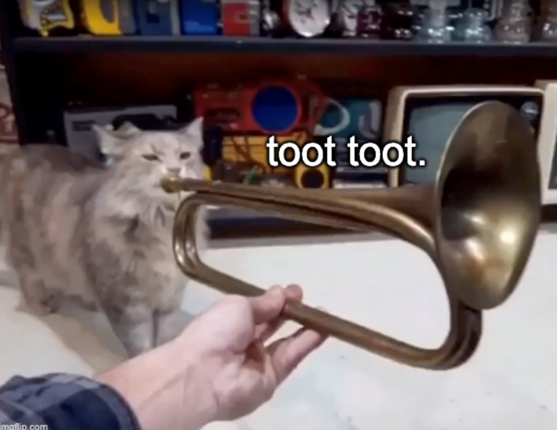 imgflip.com toot toot.