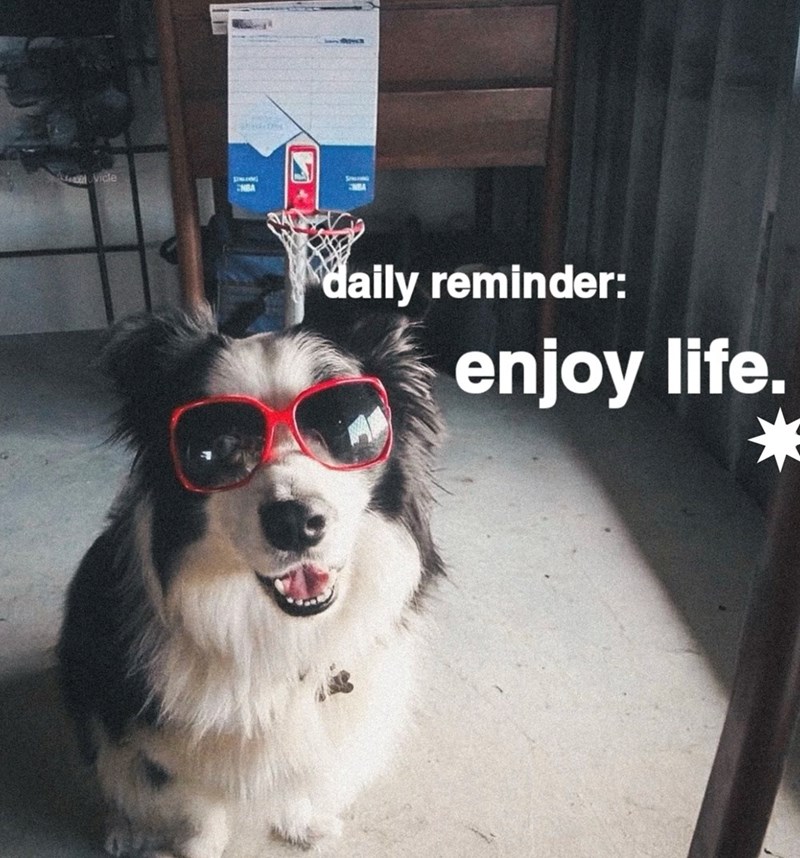 Vicle ENBA daily reminder: enjoy life.