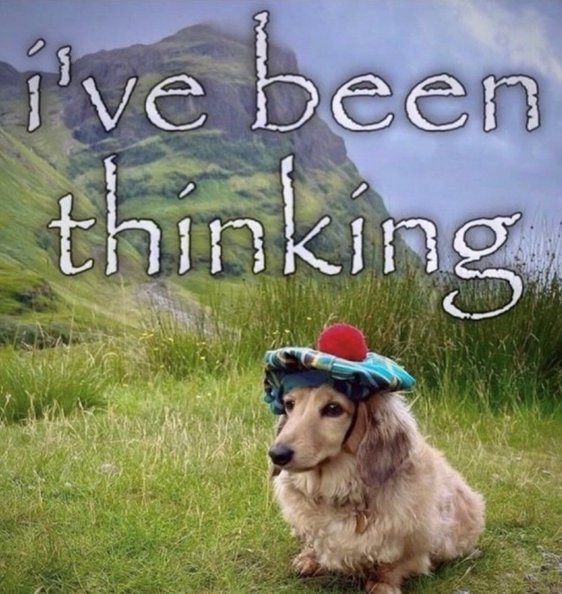 i've been thinking