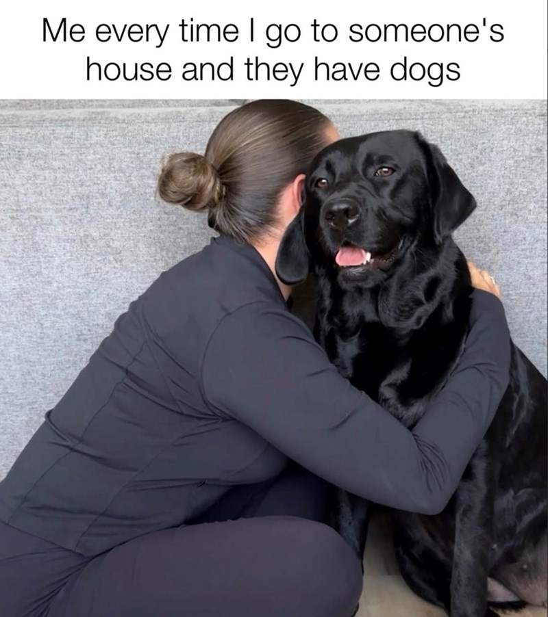 Me every time I go to someone's house and they have dogs.