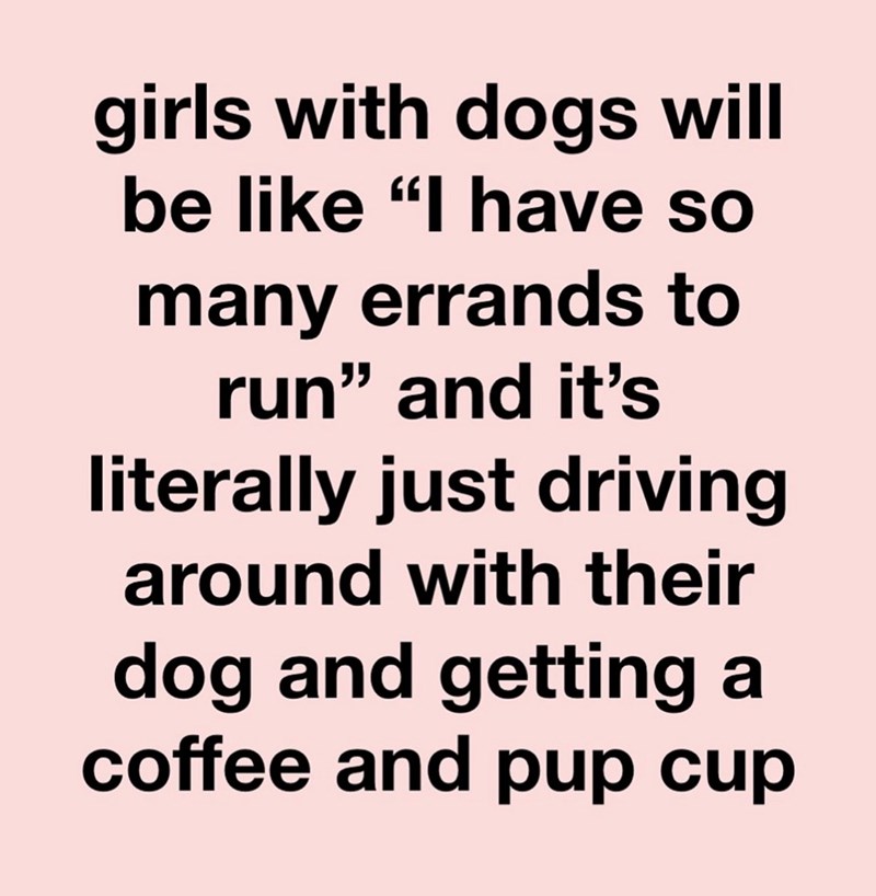 girls with dogs will be like "I have so many errands to run" and it's literally just driving around with their dog and getting a coffee and pup cup