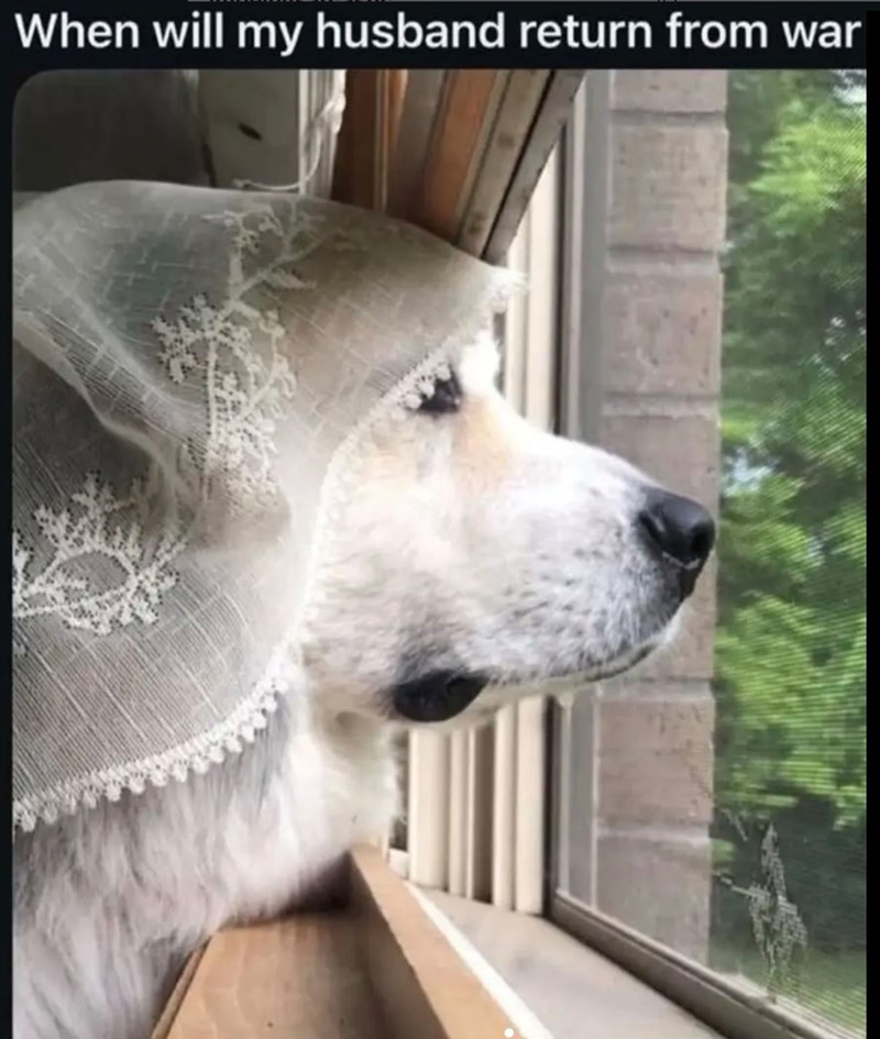 When will my husband return from war