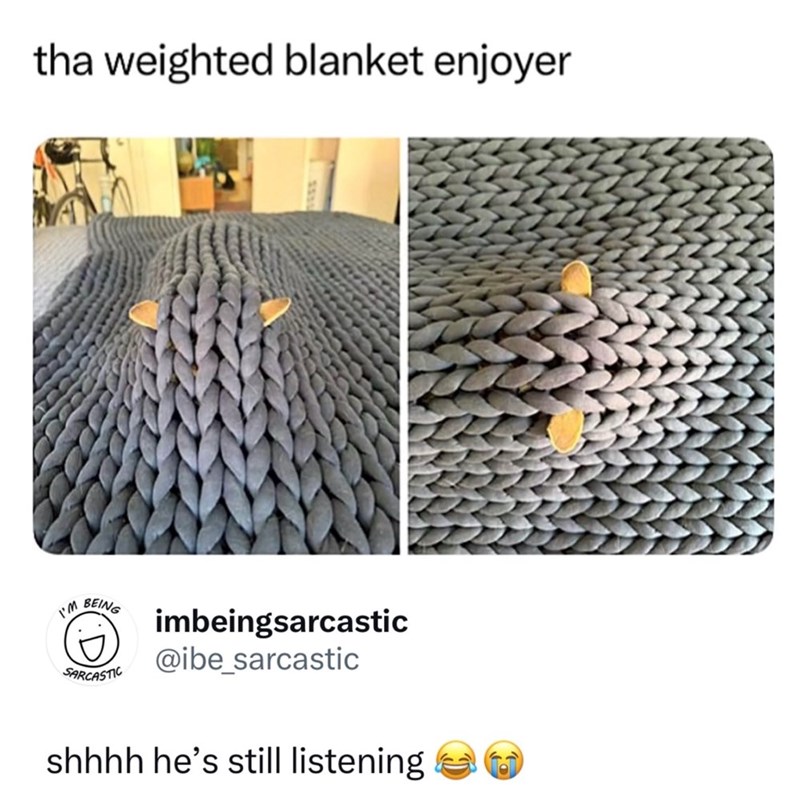 tha weighted blanket enjoyer I'M BEING SARCASTIC imbeingsarcastic @ibe_sarcastic shhhh he's still listening