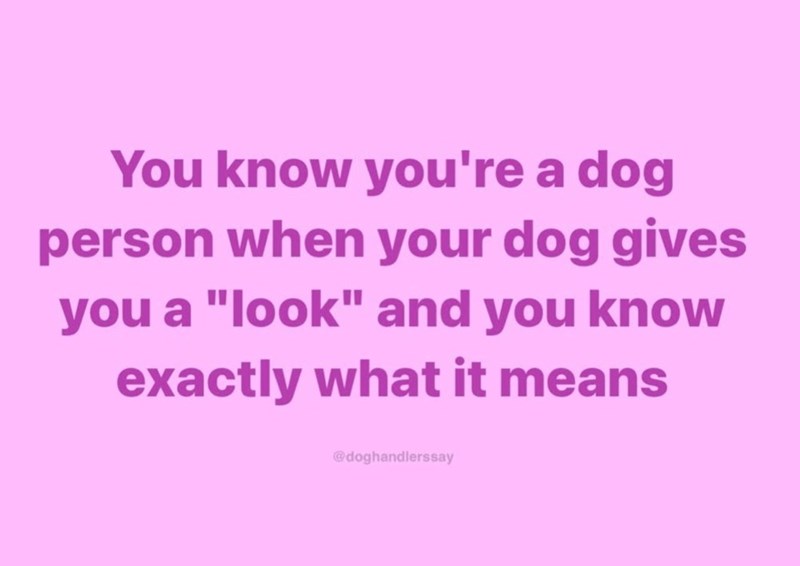 You know you're a dog person when your dog gives you a "look" and you know exactly what it means @doghandlerssay