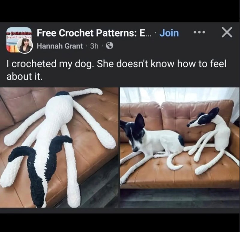 Gradat Puller Free Crochet Patterns: E... . Join Export Tips & Trick Hannah Grant ⚫ 3h I crocheted my dog. She doesn't know how to feel about it.