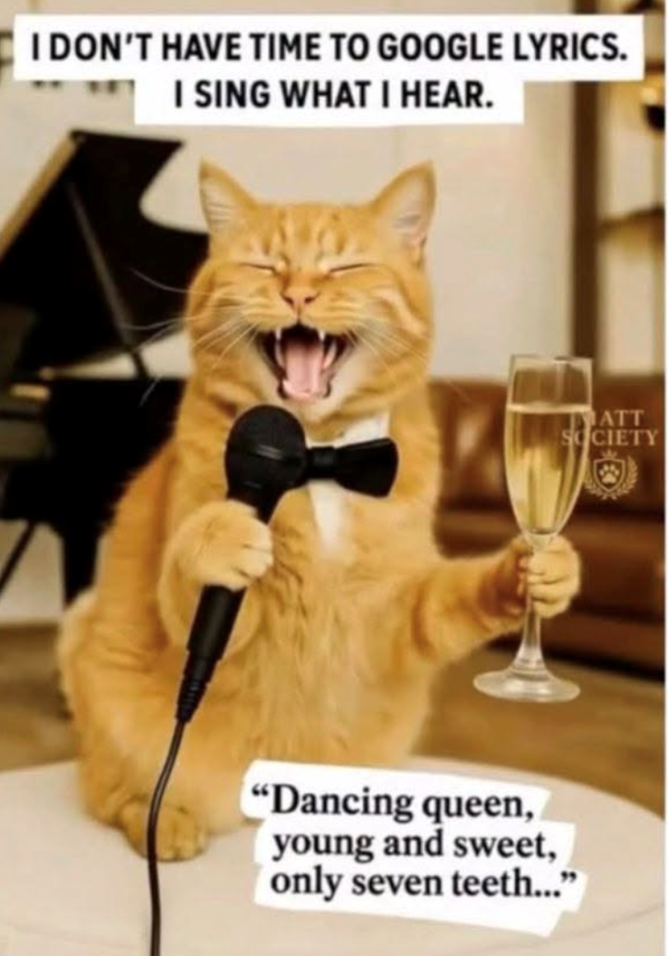 I DON'T HAVE TIME TO GOOGLE LYRICS. I SING WHAT I HEAR. ATT SOCIETY "Dancing queen, young and sweet, only seven teeth..."