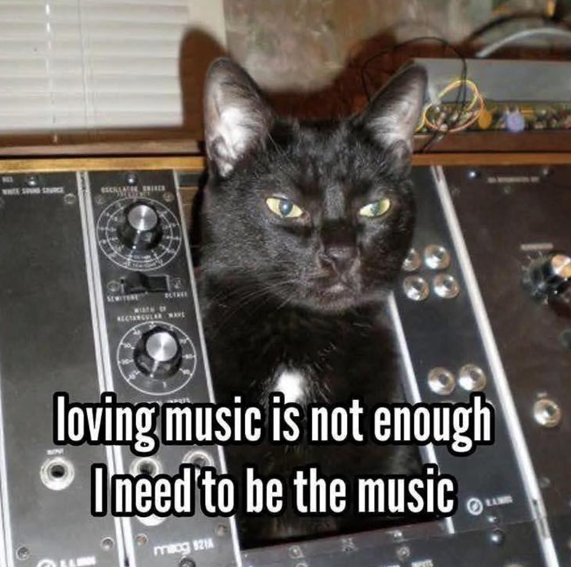 WHITE SPUND SOURCE RECTANGULAR Wat loving music is not enough I need to be the music mang 821A