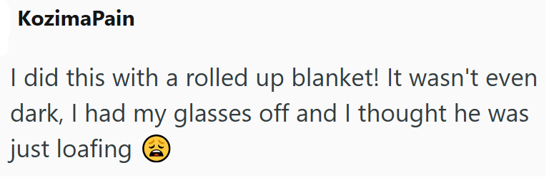 KozimaPain I did this with a rolled up blanket! It wasn't even dark, I had my glasses off and I thought he was just loafing →